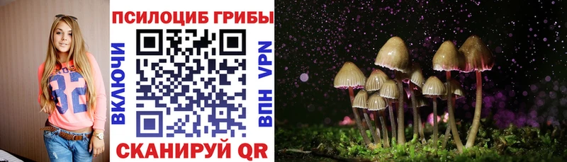 Псилоцибиновые грибы Magic Shrooms Красный Холм